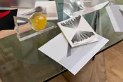 Solange Knowles project artifact 12